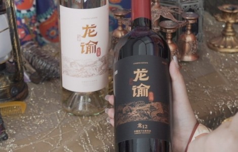 品味至臻：茅臺與龍諭巧妙搭配，高雅送禮之選