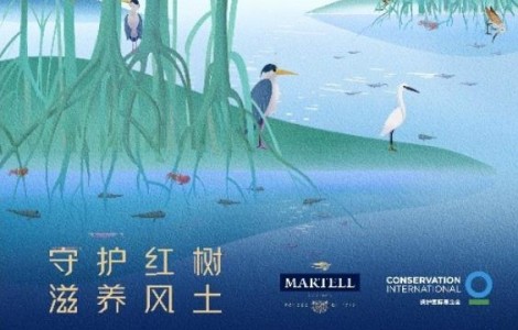 保衛(wèi)地球家園，保樂力加公益一直在行動