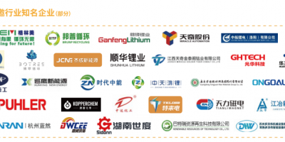 2025國際退役動力電池、風光組件資源化循環(huán)利用技術(shù)