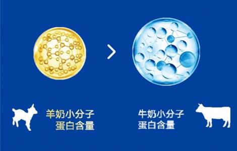 進(jìn)口奶粉排名前十有哪些品牌？佳貝艾特新悅白吸收低敏營(yíng)養(yǎng)全！